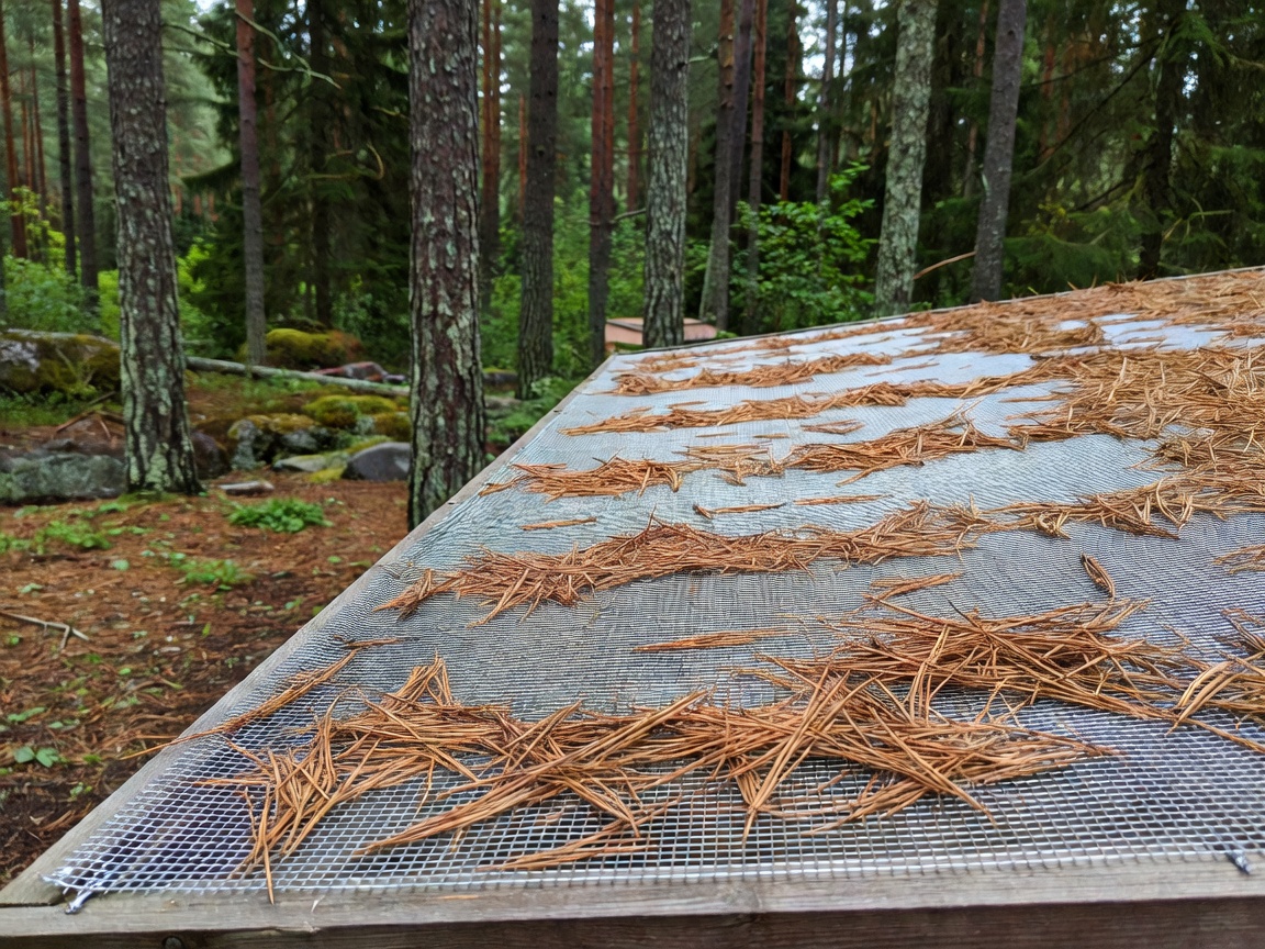Close-up micro-mesh gutter guard rejecting pine needles in Finnish forest lot